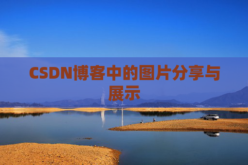 CSDN博客中的图片分享与展示